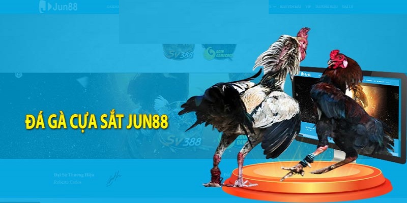 Hình thức đá gà phổ biến tại Jun88